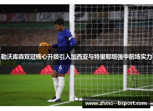 勒沃库森双冠核心升级引入加西亚与特里耶增强中前场实力