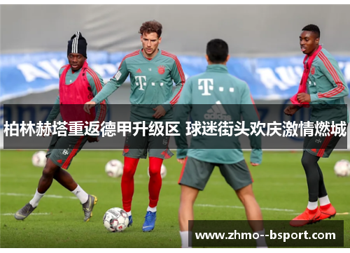 柏林赫塔重返德甲升级区 球迷街头欢庆激情燃城