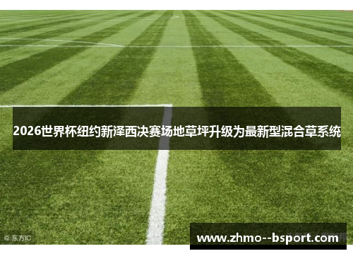 2026世界杯纽约新泽西决赛场地草坪升级为最新型混合草系统 2026世界杯纽约新泽西决赛场地草坪升级为最新型混合草系统